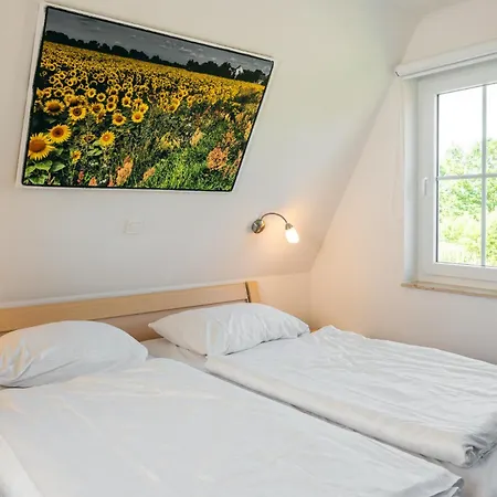 A 9 Reethaus Moewe *